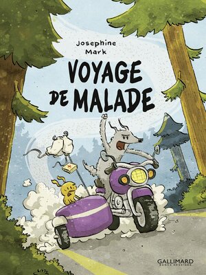 cover image of Voyage de malade